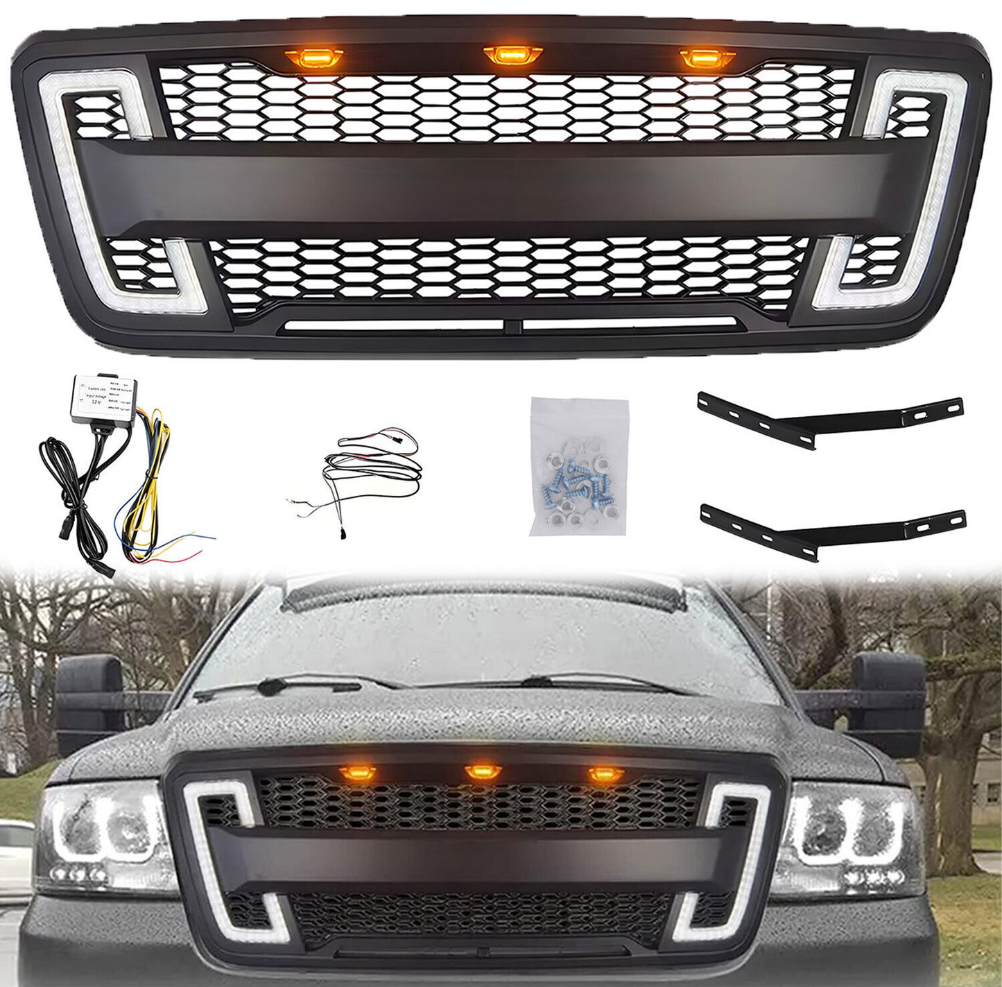 Front Grille Guard for 2004-2008 Ford F150 with LED Lights