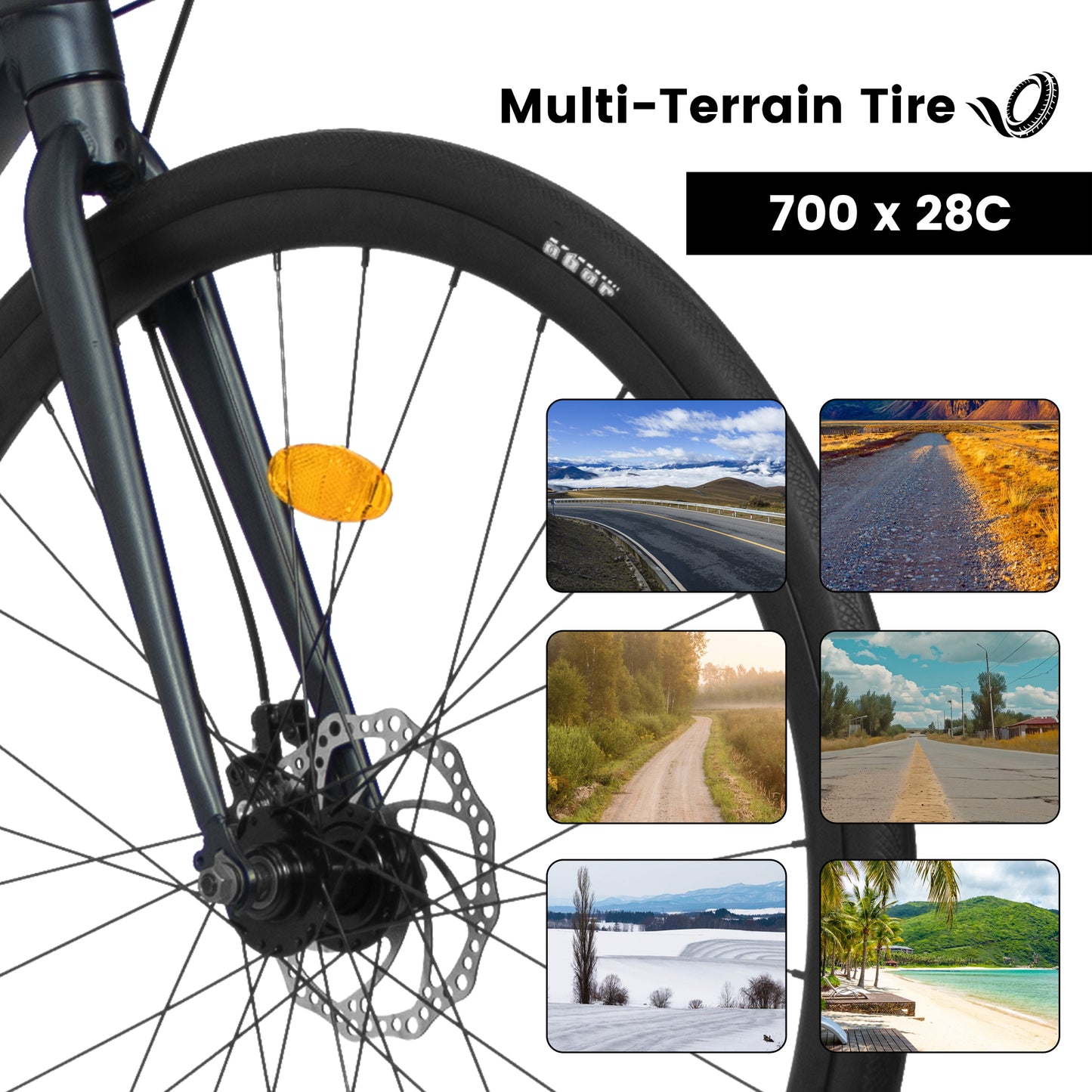 A28320RL 700C Road Bike, 16-Speed Outdoor Bike Disc Brakes, Light Weight Aluminum Frame ,Racing Bike City Commuting Road Bicycle L Size for Men Women