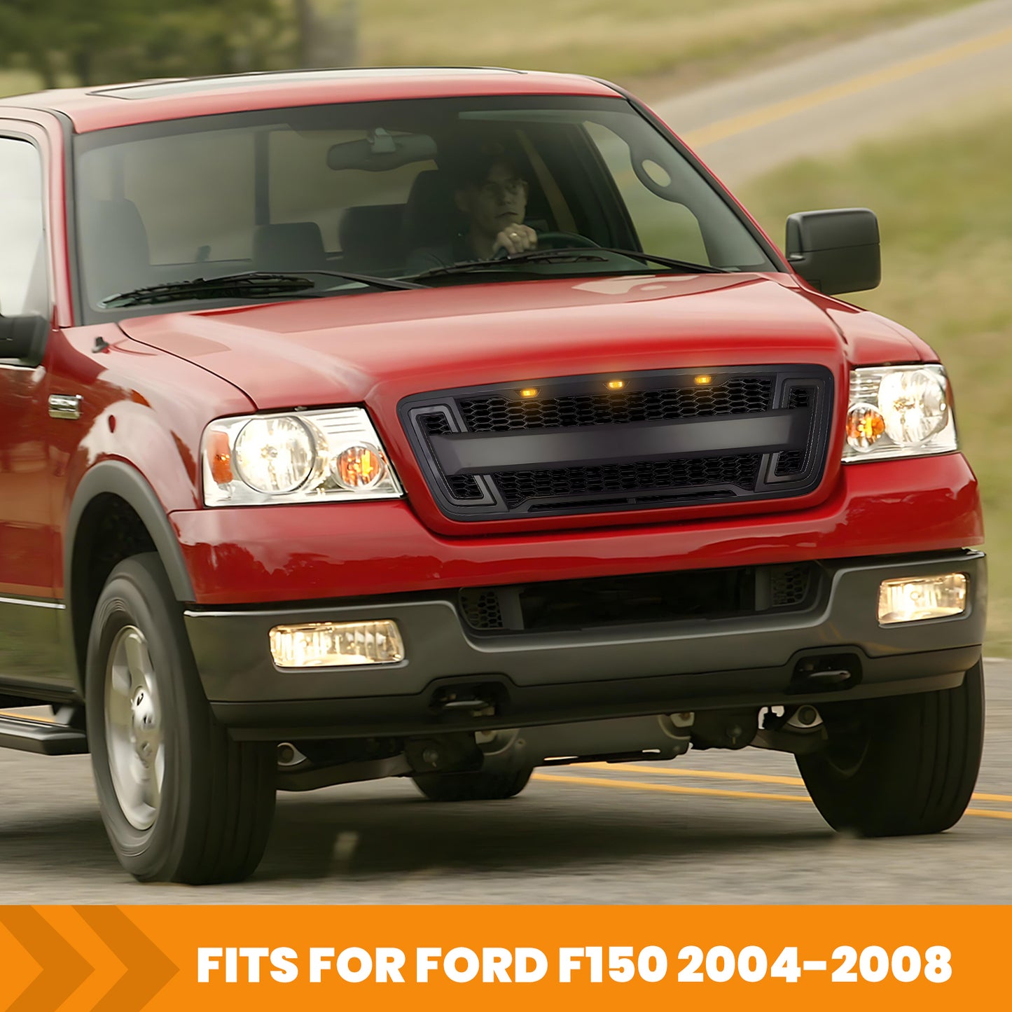 Front Grille Guard for 2004-2008 Ford F150 with LED Lights