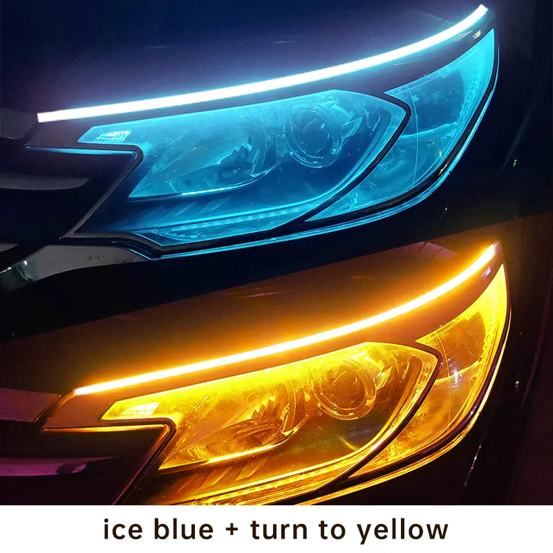 40770159345751|40770159378519|40770159411287