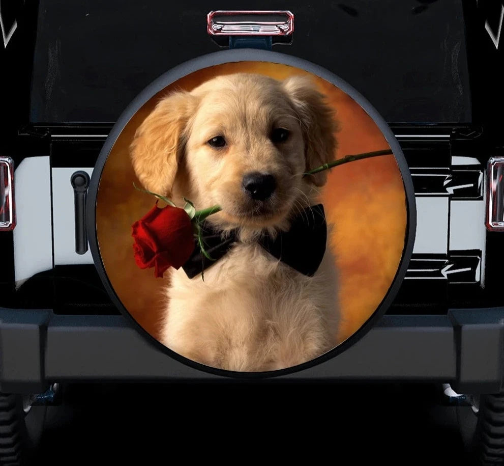 41051170898007|41051170963543|41051171029079|41051171160151