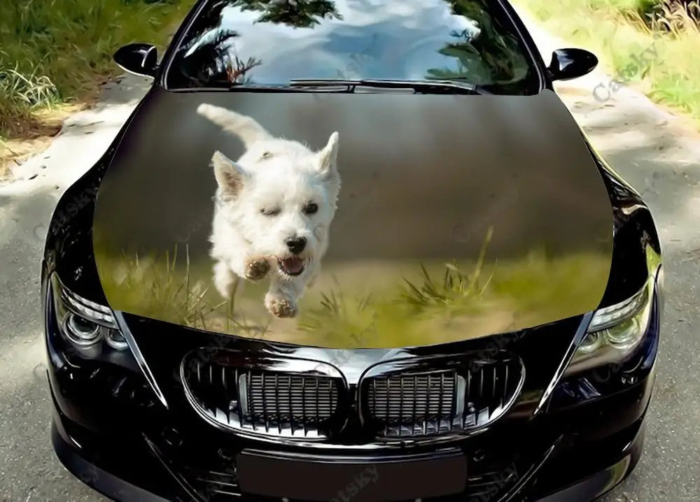 41051094024279|41051094057047