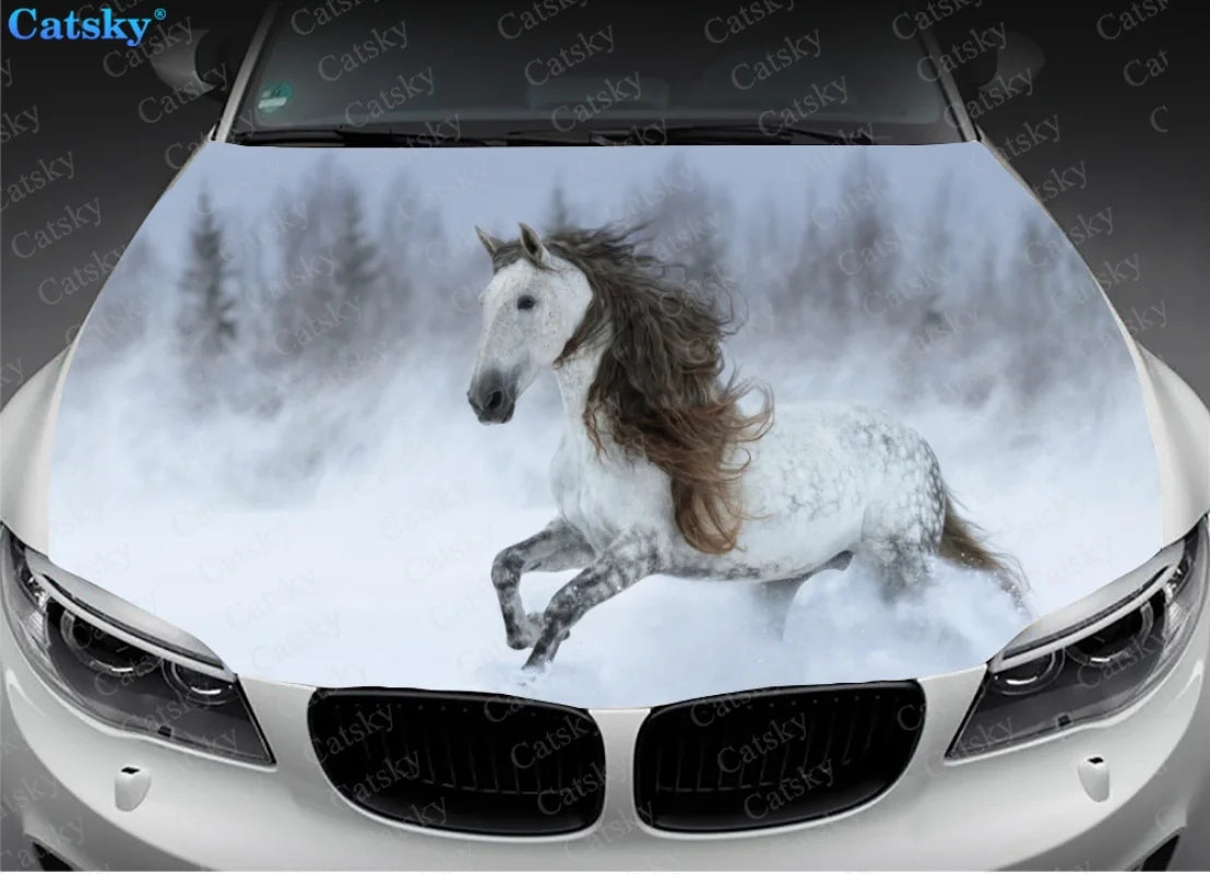 41051097170007|41051097202775