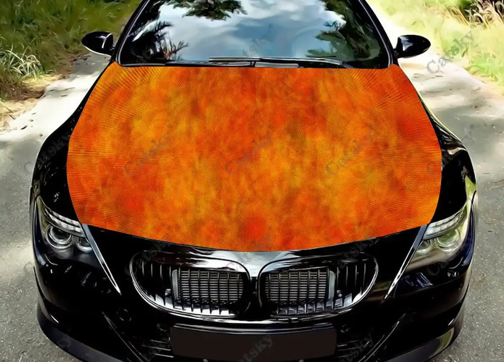 41051116568663|41051116666967