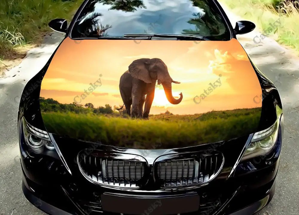 41051105820759|41051105853527