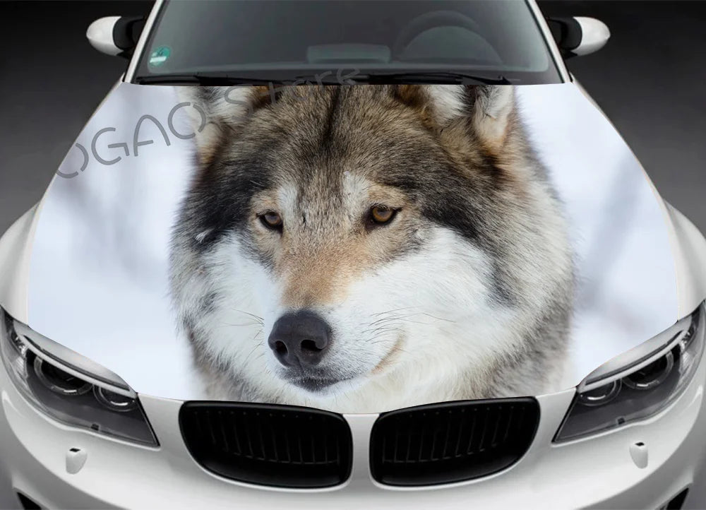 41051111948375|41051111981143