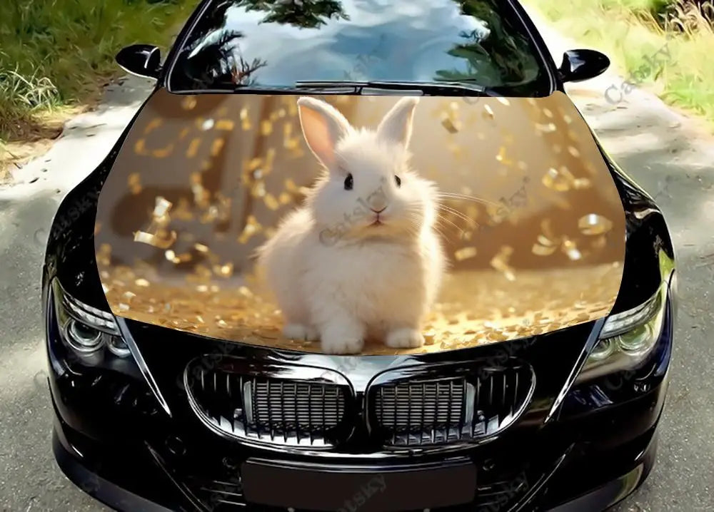 41051072364631|41051072397399