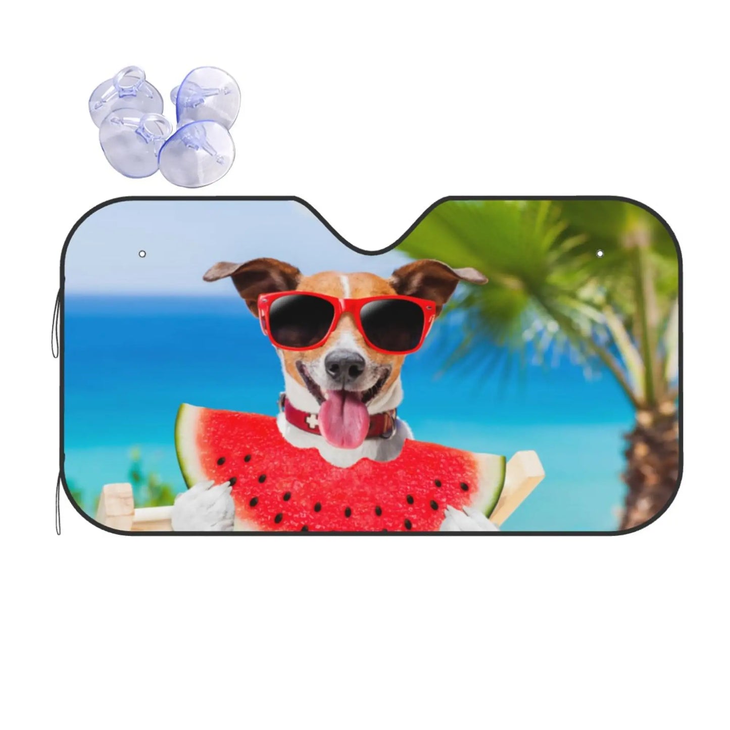 41086858887255|41086858985559