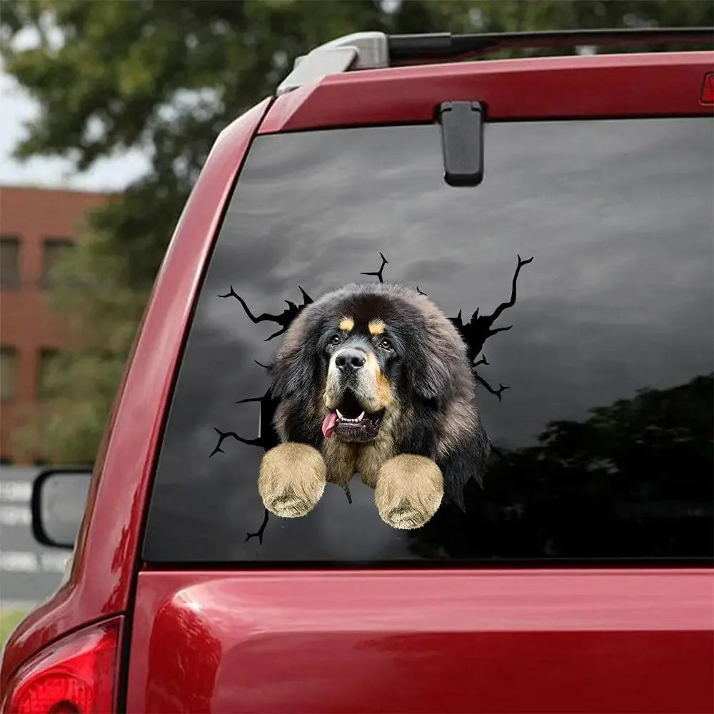 41051143569495|41051143733335|41051143831639