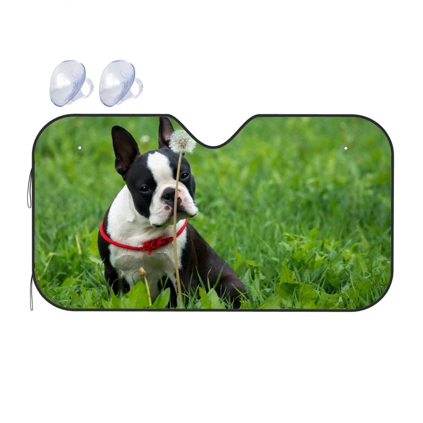 41051137998935|41051138031703