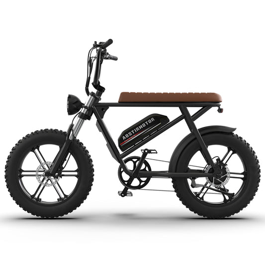 AOSTIRMOTOR new pattern Electric Bicycle 750W Motor 20' Fat Tire With 48V 13AH  Li-Battery
