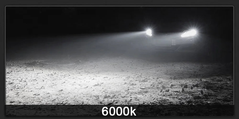 40904917286999|40904918958167|40904918990935|40904919023703|40904919056471|40904919089239|40904919122007|40904919154775|40904919187543|40904919220311|40904919253079|40904919285847|40904919318615|40904919351383|40904919416919