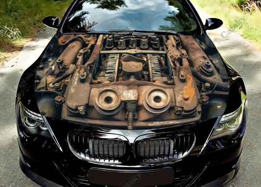 41051190100055|41051190165591